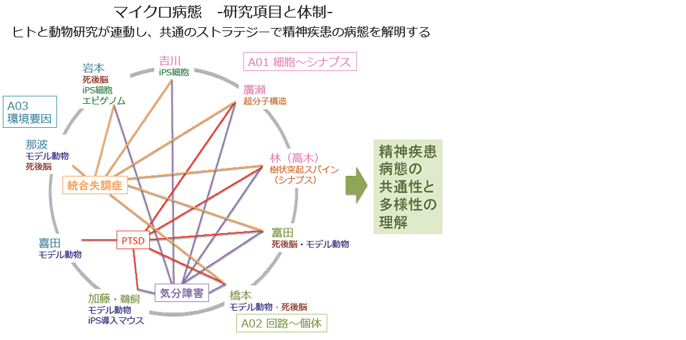 新学術領域（領域提案型）マイクロエンドフェノタイプによる精神病態学 