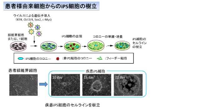 新学術領域（領域提案型）マイクロエンドフェノタイプによる精神病態学 