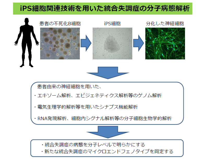 新学術領域（領域提案型）マイクロエンドフェノタイプによる精神病態学 